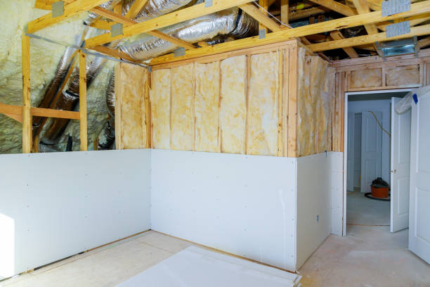 Best Insulation Maintenance and Repair in Adwolf, VA