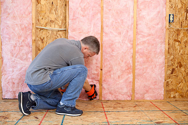 Best Energy Efficiency Solutions in Adwolf, VA
